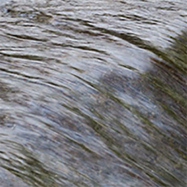 East Bay Tilden Regional Park, March 2016. Running rapids