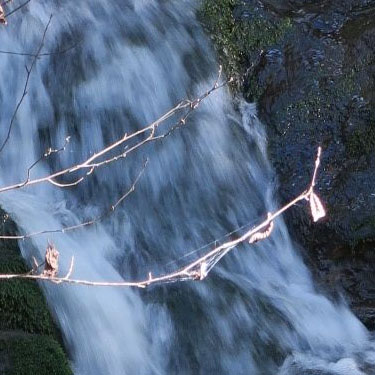 East Bay Tilden Regional Park, March 2016. Gushing waterfall